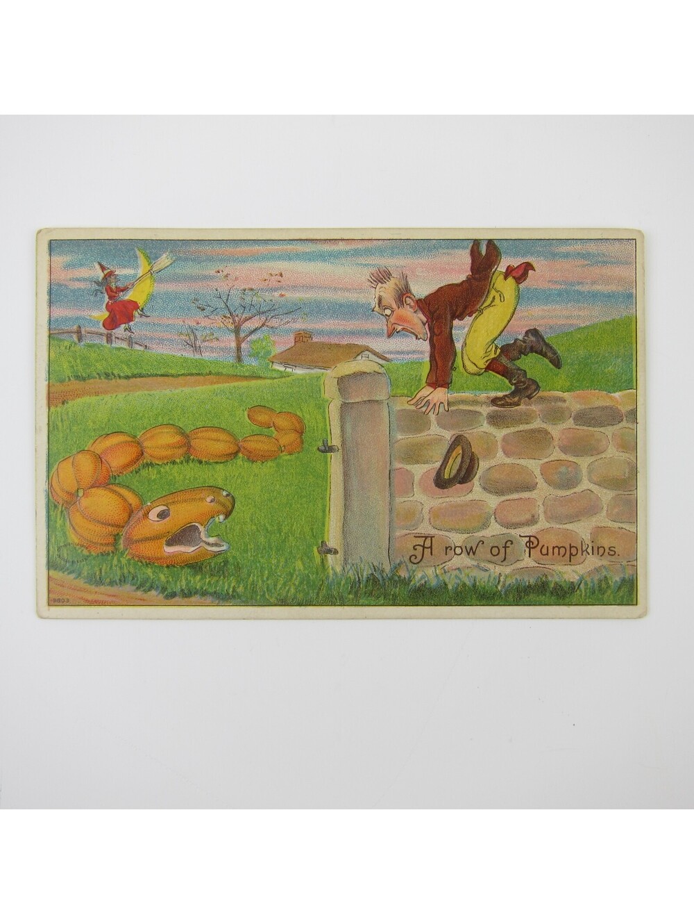 Vintage Halloween Postcard Julius Bien Row of Pumpkins Snake Scares Man 1909